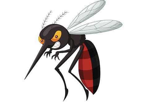 Berikut adalah beberapa gambar pendukung untuk membantu anda lebih mudah memahami penjelasan di atas 53+ Top Gambar Kartun Nyamuk