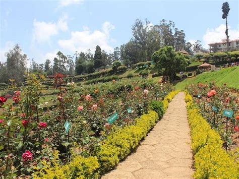 We did not find results for: The Lovely Rose Gardens in India - Nativeplanet