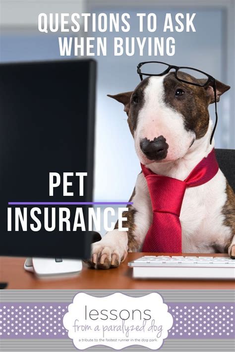 Can you get life insurance on a dog. Having pet insurance can be the best decision you've ever made when a devastating accident or ...