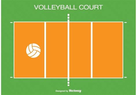 Volleyball Historycourtplayer Positions Diagram Quizlet