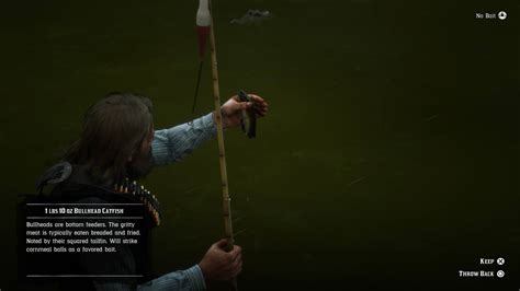 What are the best secrets in red dead redemption 2? Bullhead Catfish | Red Dead Redemption 2 | Location, Bait ...