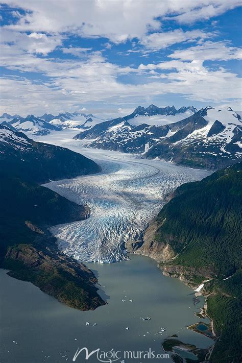 Aerial View Of Mendenhall Glacier Mural By Magic Murals