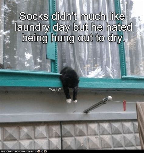 Dripdripdrip Funny Cat Memes Cheezburger Memes