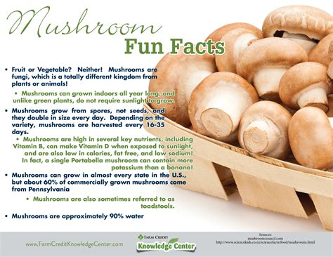 All About Mushrooms Farm Credit Of The Virginias