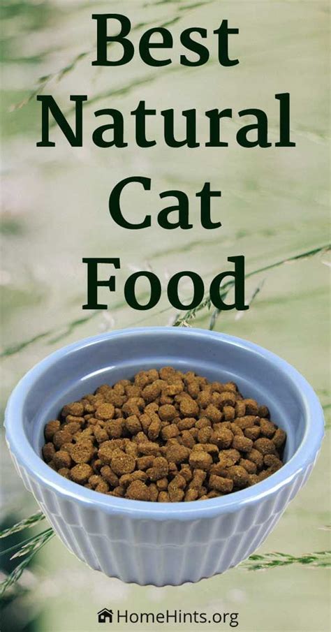 10 best wet cat foods of july 2021. New study reveals the healthiest, vet-recommended, premium ...