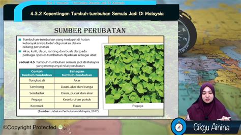 F3geo0408 Kepentingan Tumbuh Tumbuhan Semula Jadi Di Malaysia Bhg 2