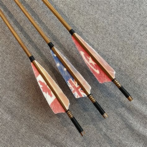 Alibow 100 Pure Carbon Arrows Archery Carbon Shaft Arrows Spine 300
