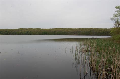 The nature conservancy has owned and managed land at pickerel lake fen preserve since 1985 when the emmerich and muth families donated pickerel lake is home to the starhead topminnow, a rare fish on the state's endangered species list. Photo Gallery Friday: Pickerel Lake Park - Fred Meijer ...