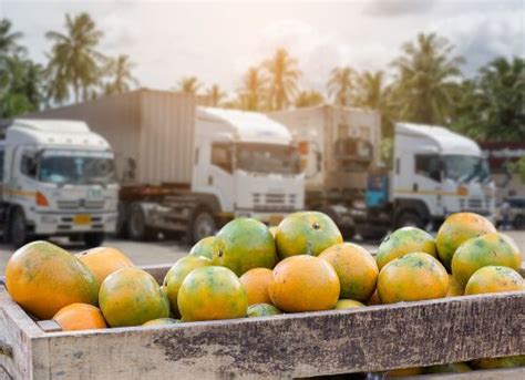 How To Start An Fruits Export Business In India And Make Profits 万博体育app下载入口万博全站官网app入口