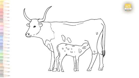 Cow Milk Feeding To Calf Drawing How To Draw A Cow Step By Step Cow Art Cow Art Cow