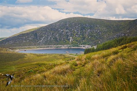 Les Monts Wicklow Irlande 2 Dragonstreet Photography