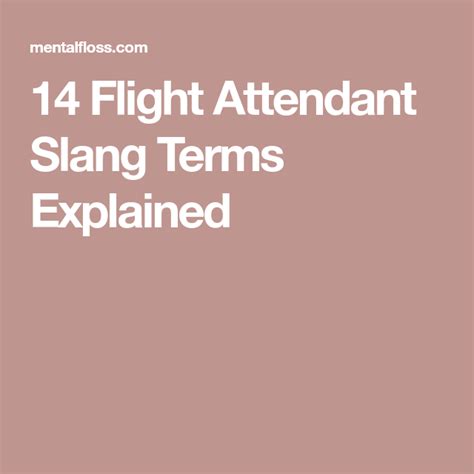 14 Flight Attendant Slang Terms Explained Flight Attendant Humor