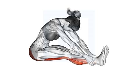 Seated Knee Flexor Stretch Guide Benefits And Form
