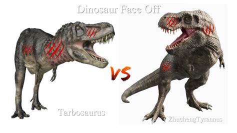 Dinosaur Face Off Tarbosaurus Vs Zhuchengtyrannus Youtube
