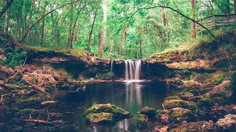 6 Most Beautiful Waterfalls In Florida You Should Visit
