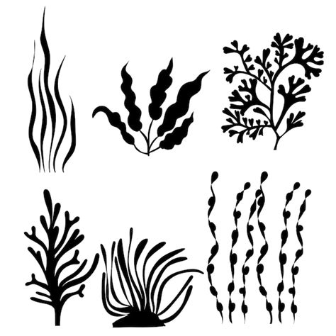 Seaweed Svg Images Free Download On Freepik