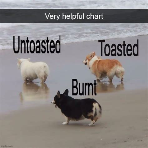 Doggo Toast Chart Imgflip