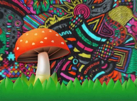 A collection of the top 53 suicideboys wallpapers and backgrounds available for download for free. Trippy mushrooms, Trippy pictures, Trippy