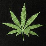 Pictures of Marijuana Leaf Images