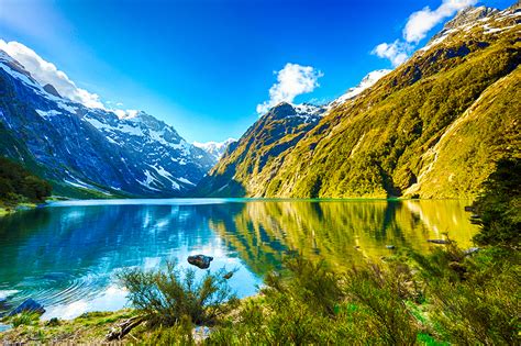 10 Motivi Per Andare In Nuova Zelanda Mla Move Language Ahead