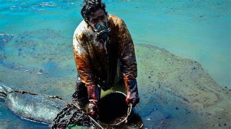 Mauritius Oil Spill Are Major Incidents Less Frequent BBC News