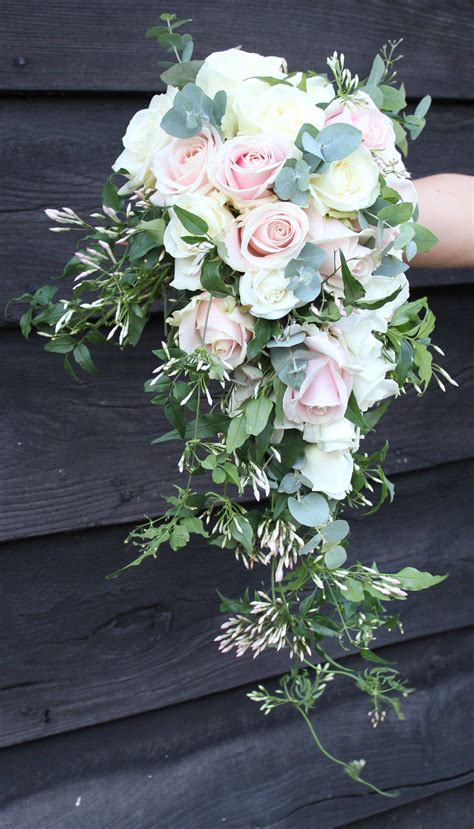 Blues Instead Of Blushes Blush Roses Silver Dollar Eucalyptus And A