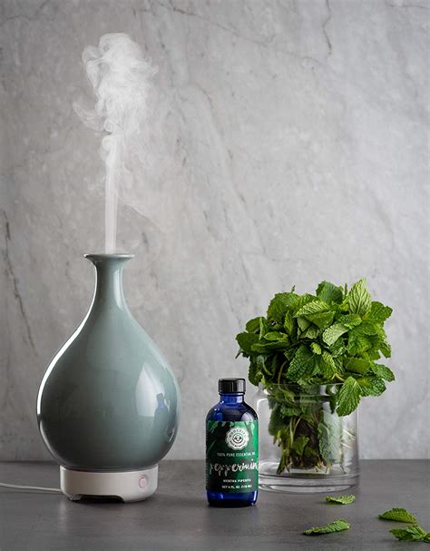 May 1, 2021 by emma carter 16 comments. My Teal Ceramic Essential Oil Diffuser | 15+ Modern ...