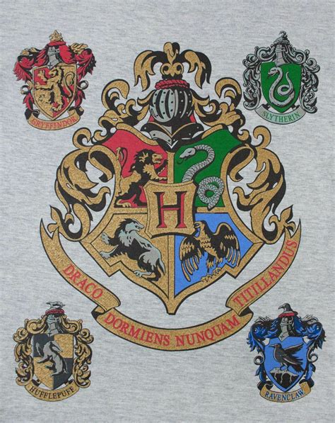 Harry Potter Hogwarts Houses Crest Boys Raglan Long Sleeve Grey T