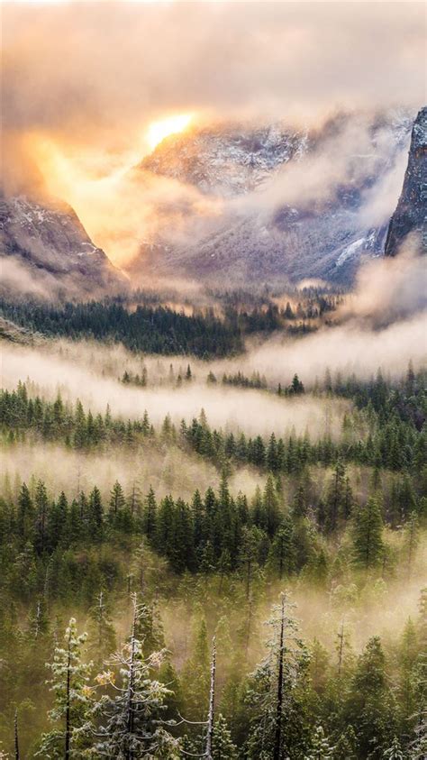 Nature Foggy Forest Mountains Landscape Iphone 8 Wallpapers Free Download