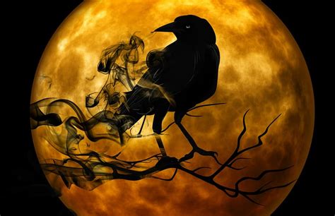 Hd Wallpaper Crow Standing On Branch In Front Of Full Moon Scary