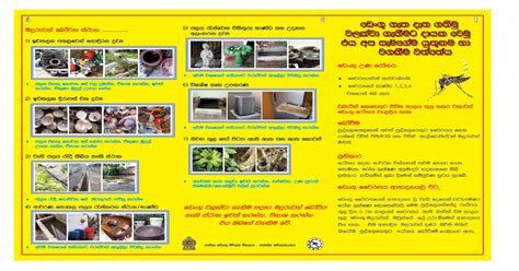 Dengue Leaflet Sinhalese 2013