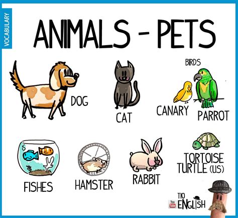Vocabulary Of Animals In English Pets Spanish Teaching Resources