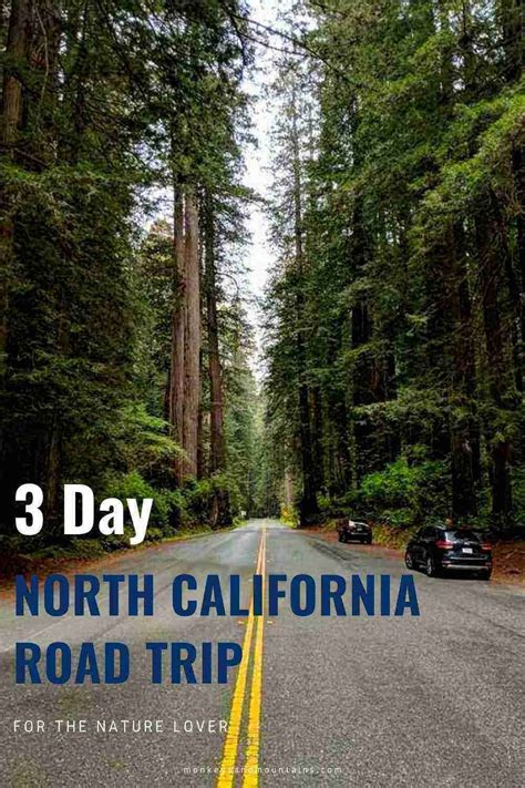 Northern California Offers The Wonders Of Redwood National And State