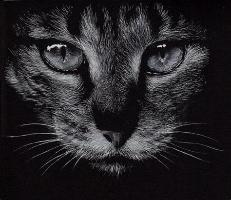 89 Best Images About Drawing On Black Paper On Pinterest