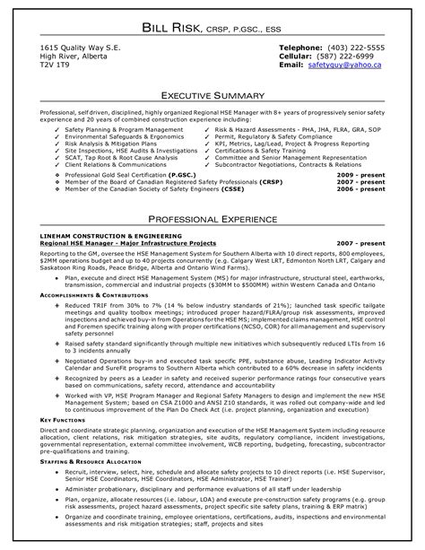 Resume Executive Summary - How to draft a Resume Executive ...