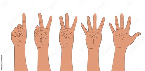 Hand Shows Fingers Counting From One To Five Isolated On White
