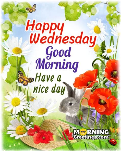 50 good morning happy wednesday images morning greetings morning quotes and wishes images