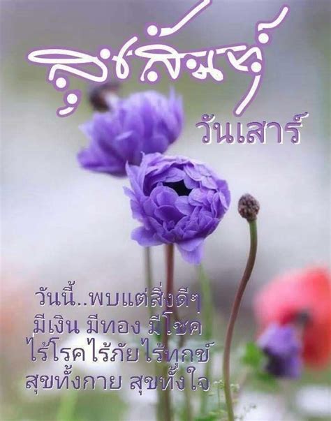 ปักพินโดย Somacha Homhual ใน Good Morning And A Good Day ดอกไม้สีม่วง