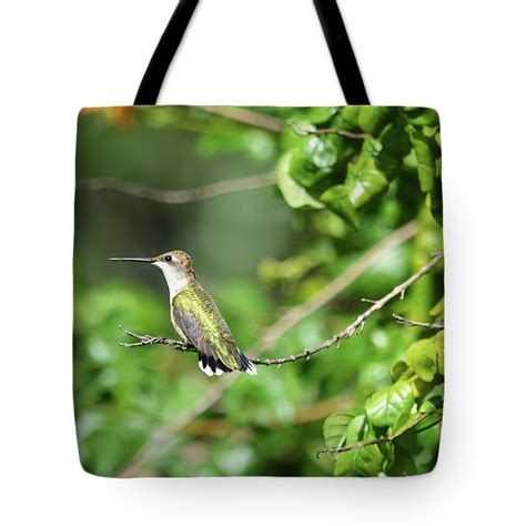 Ruby Throated Hummingbird Tote Bag By Aimee L Maher Alm Gallery Tote