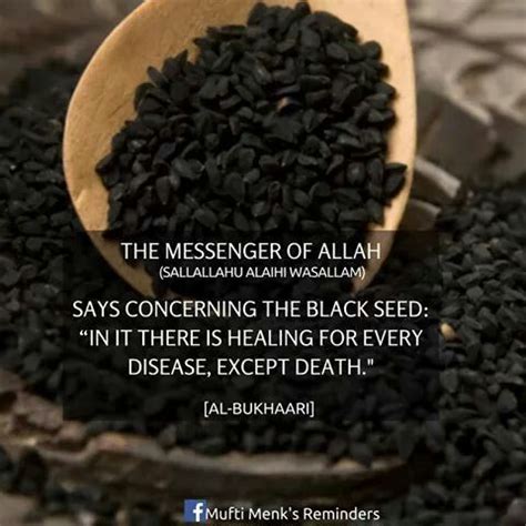 Pin by Hani on All about islam..... | Black seed, Islamic teachings, Seeds