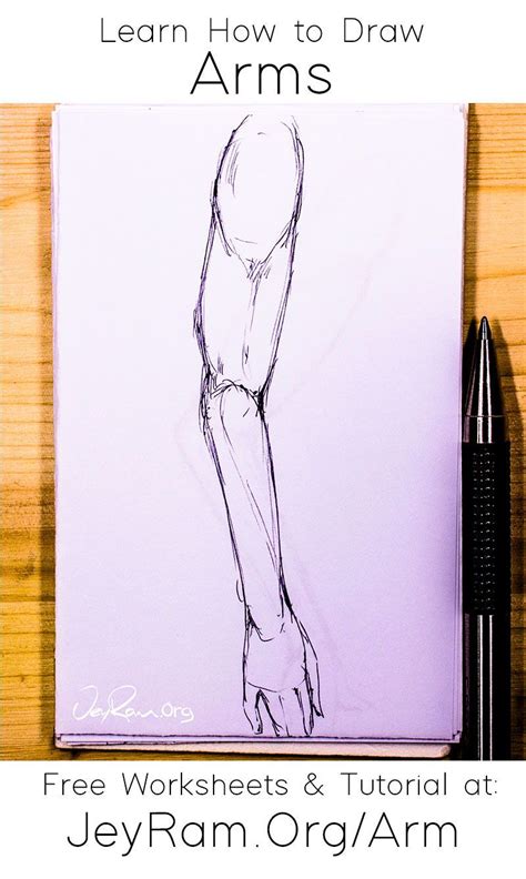 How To Draw The Arm Jeyram Art Anatomy Tutorial Body Vrogue Co