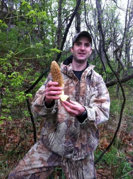Mushroom Hunting Land In Missouri And Illinois