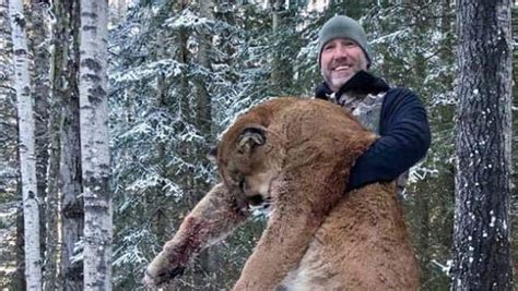 Canadian Tv Personality Sparks Outrage For Hunting Cougar In Alberta