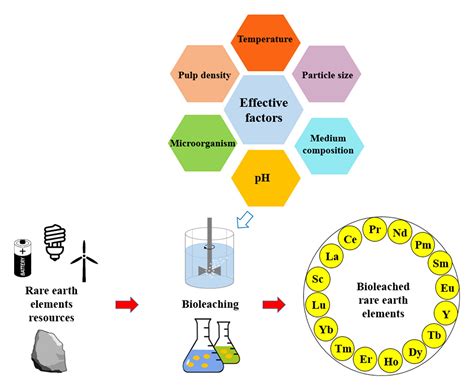 A Critical Review Of Bioleaching Of Rare Earth Elements The Mechanisms