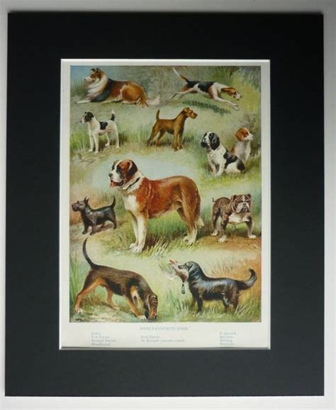 Antique Dog Print Vintage Dog Art Print By Primroseprints On Etsy