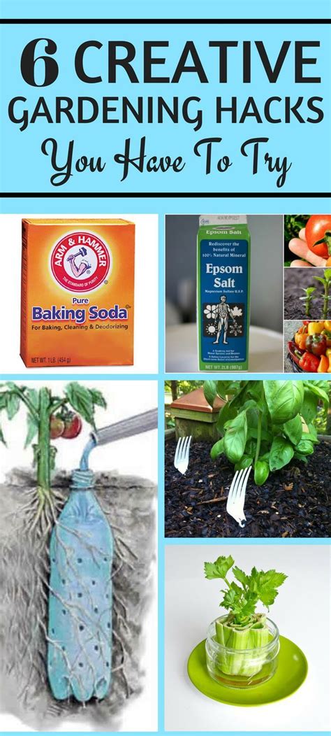 i am so glad i found these gardening hacks they are right you literally have to try these they