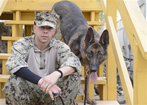 Rex Goes Home Military Working Dog To Receive Cancer Treatment Us