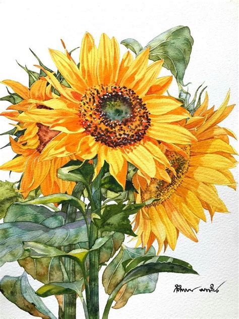 Sunflowers Watercolour Painting Artist Kitipong Maksin Size 23x32cm