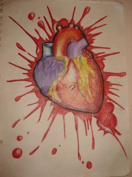 Human Heart Broken Human Heart Drawing Heart Drawing