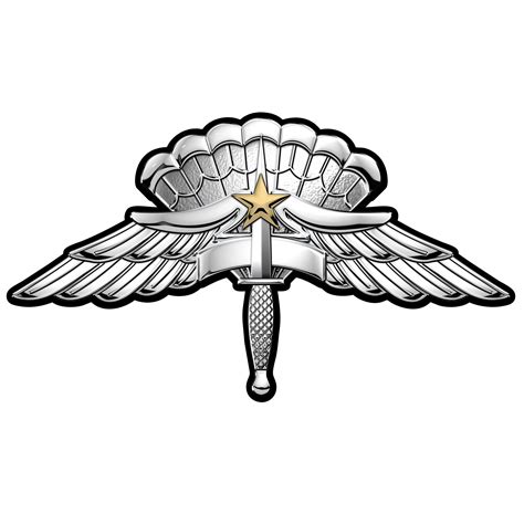 High Altitude Low Opening Halo Basic Parachutist Wings Badge With